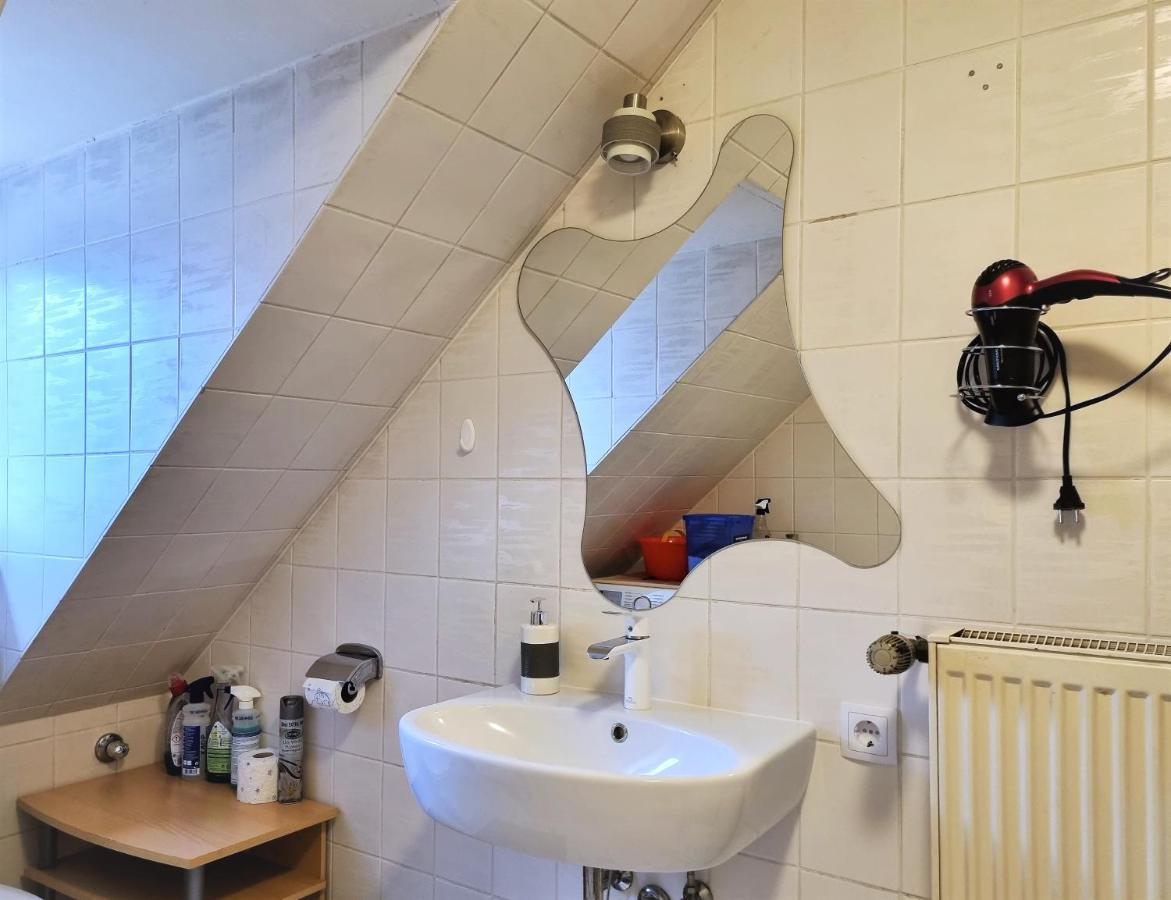 Apartment Bayreuth, Grosse Ferienwohnung Im Haus Mit Kunst, 3 Schlafzimmer, Kueche, Parkplatz エクステリア 写真