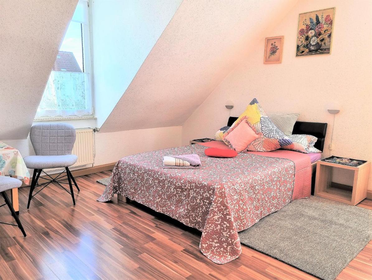 Apartment Bayreuth, Grosse Ferienwohnung Im Haus Mit Kunst, 3 Schlafzimmer, Kueche, Parkplatz エクステリア 写真